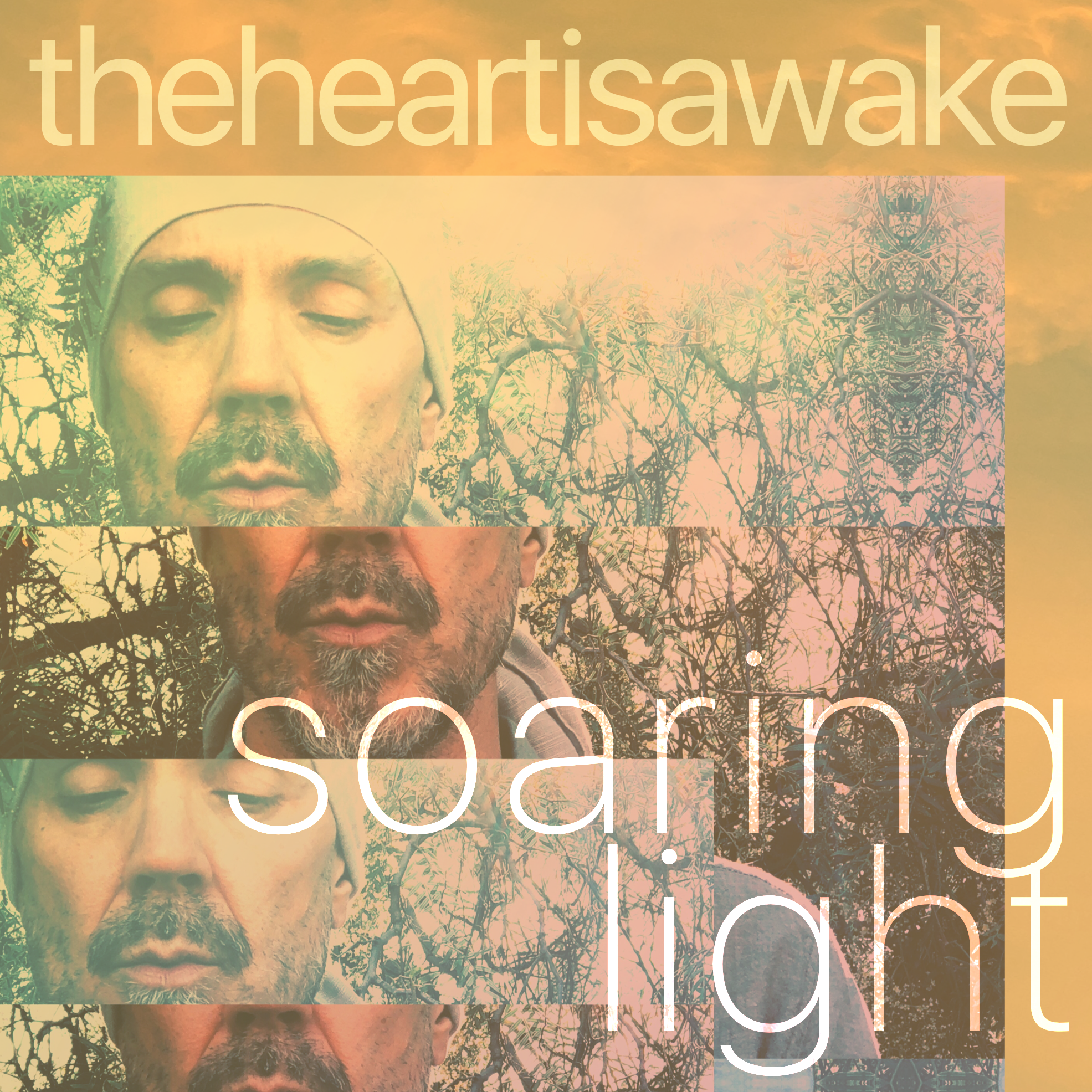 The Heart Is Awake – Soaring Light