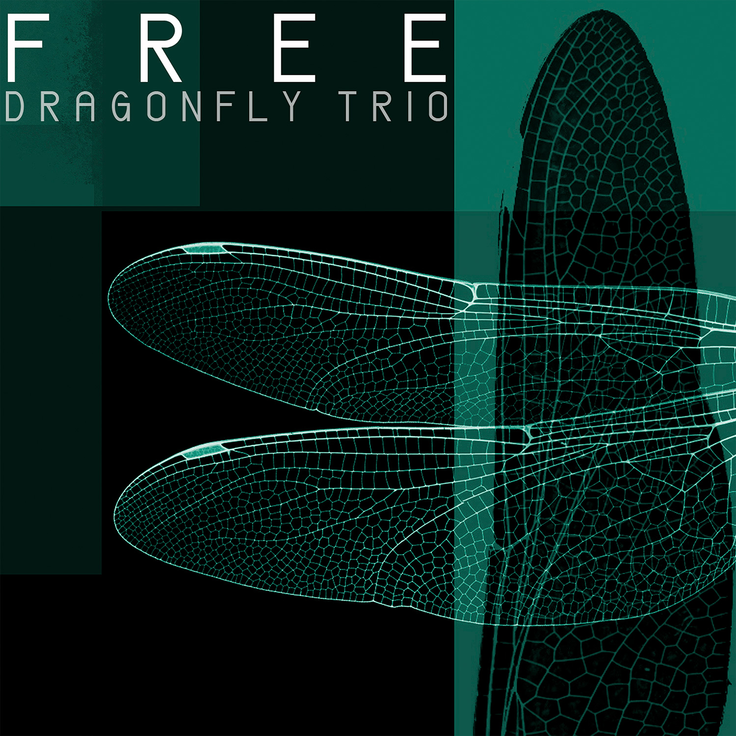 Dragonfly Trio – Free