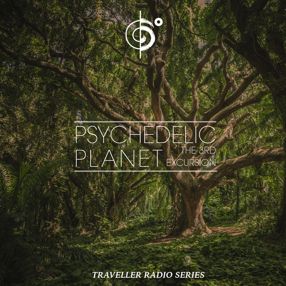 Traveler Installment 361 – “Traveler’s Psychedelic Planet (The Third Excursion)”