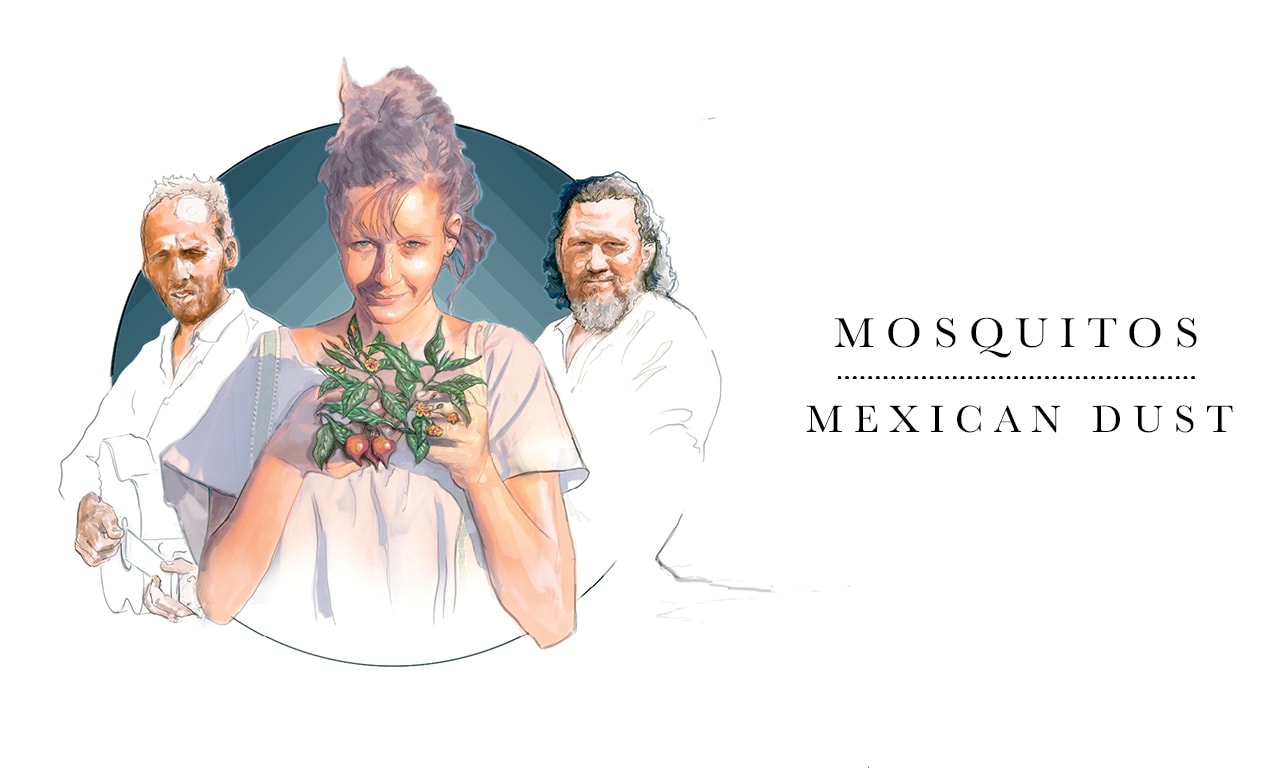 [Album Review] Mosquitos – Mexican dust