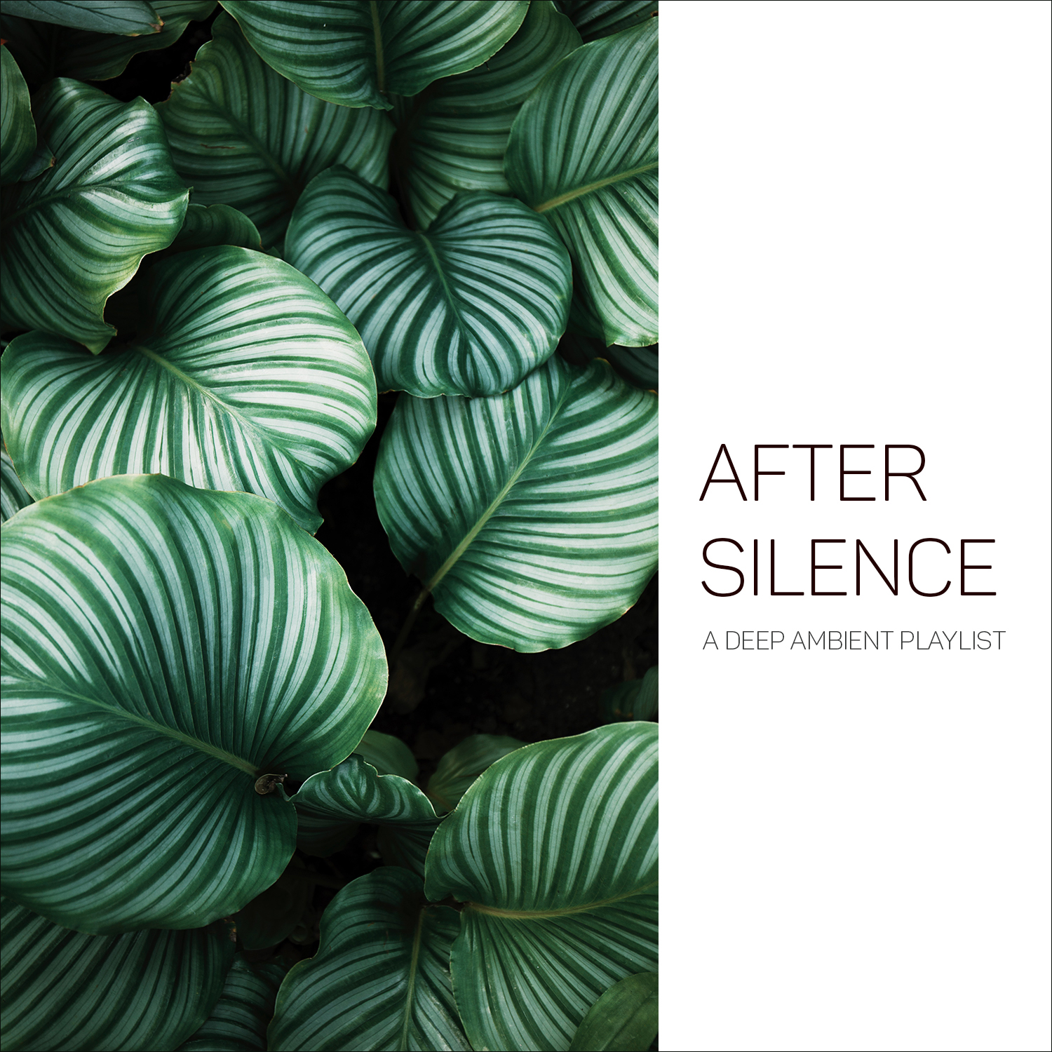 After Silence (A Deep Ambient Playlist)