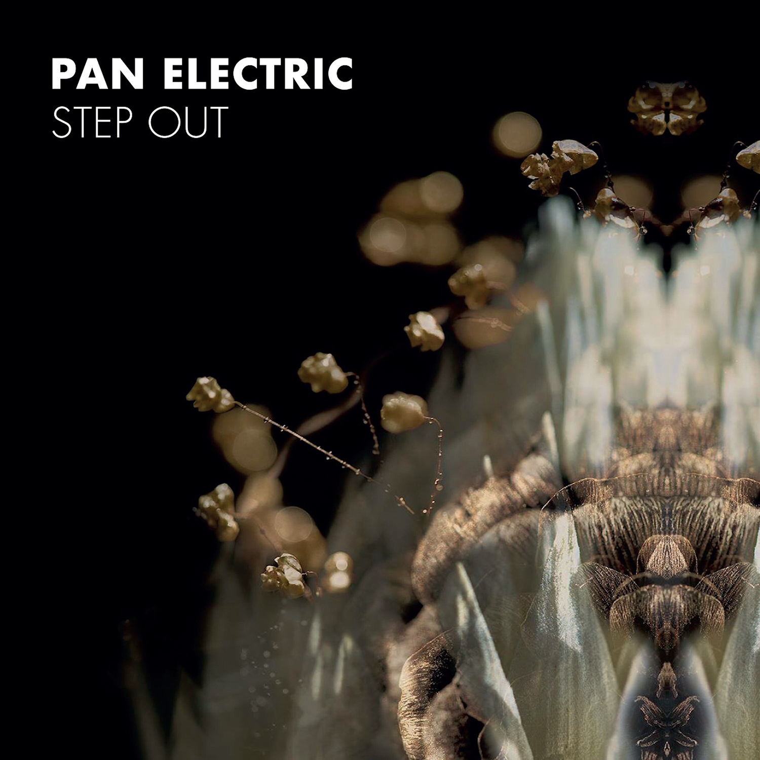 Pan Electric – Step Out