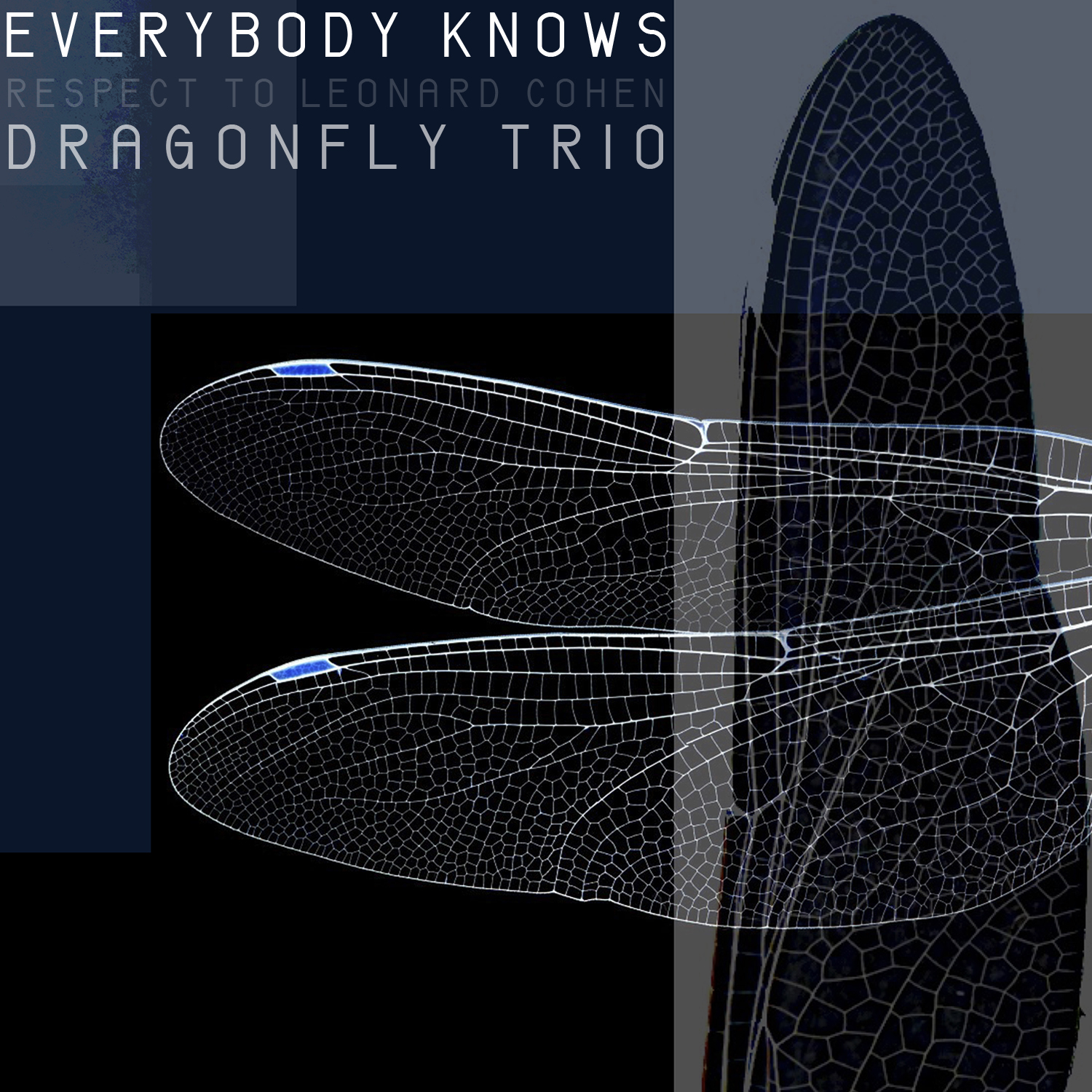 Dragonfly Trio – Everybody Knows