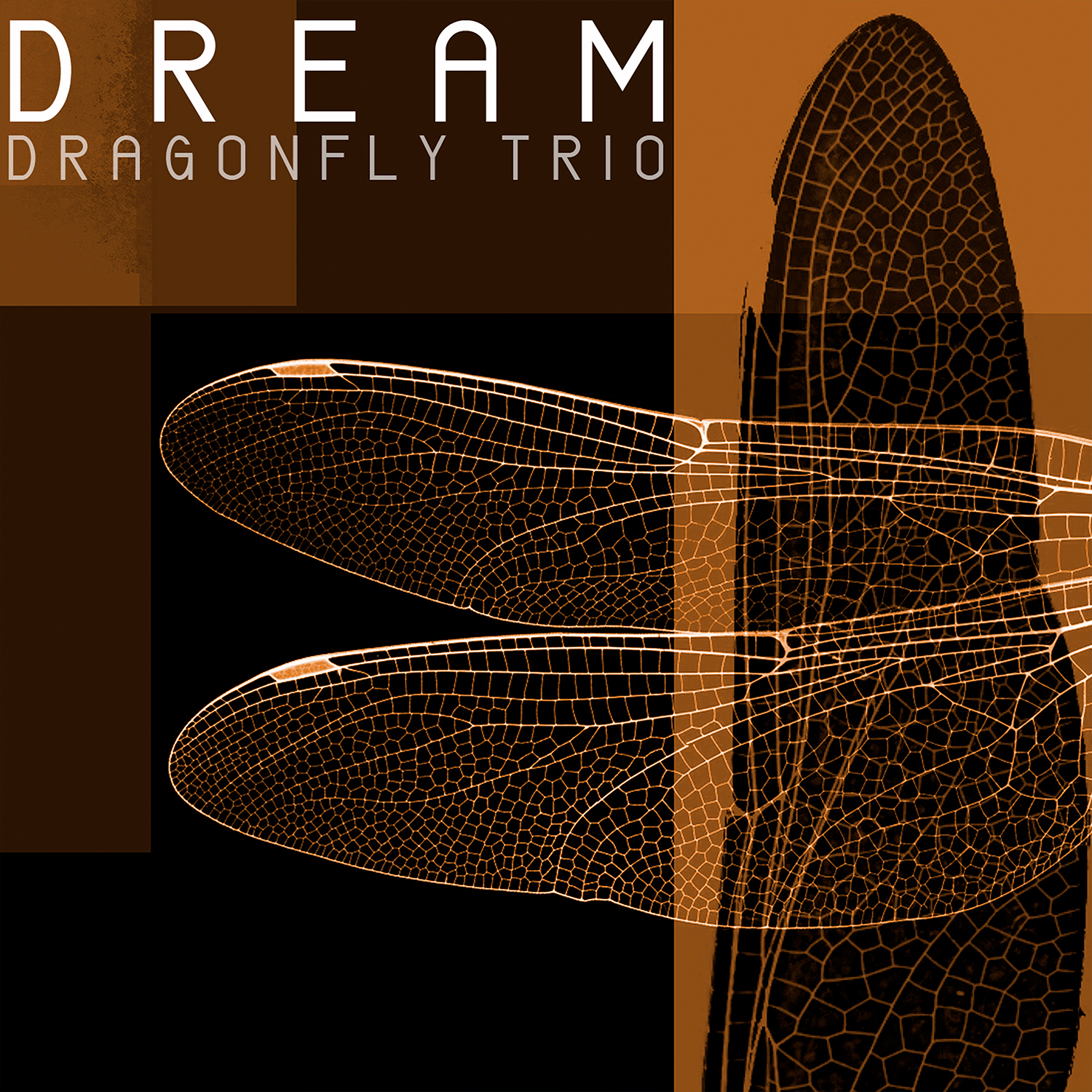 DRAGON FLY TRIO – DREAM EP